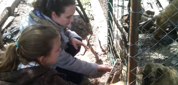 mujeres en un albergue 