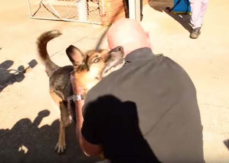 abrazo entre perro y humano 