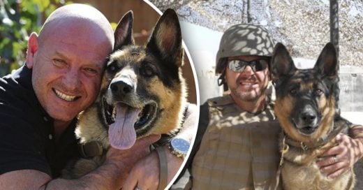 Cover Perro de guerra se reencuentra con su mejor amigo