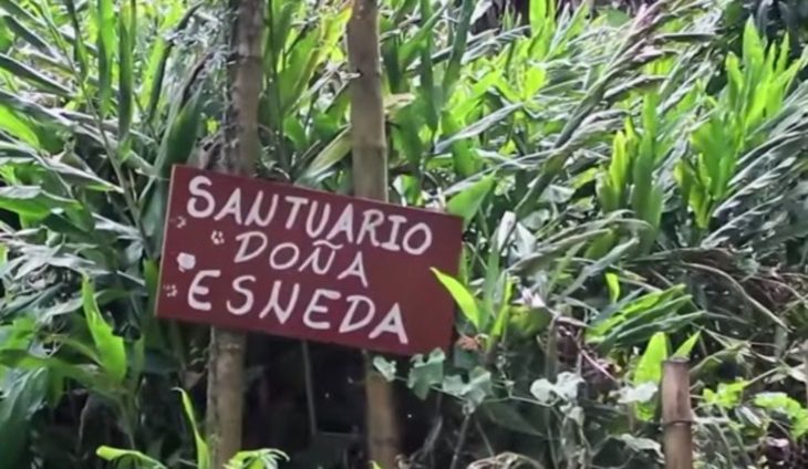 santuario de animales 