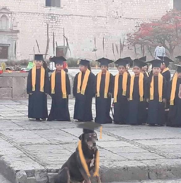 mazapan se gradua del kinder