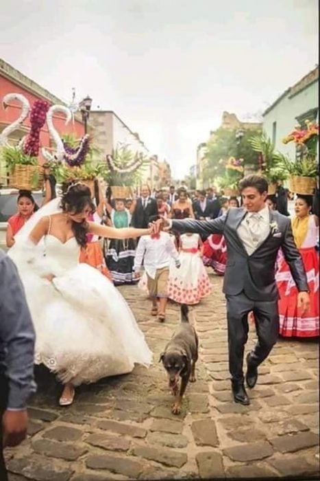 perrito guelaguetza mazapán