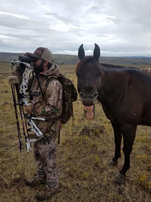 caballos sonrientes