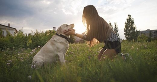 Cover cosas que mi perro me enseñó