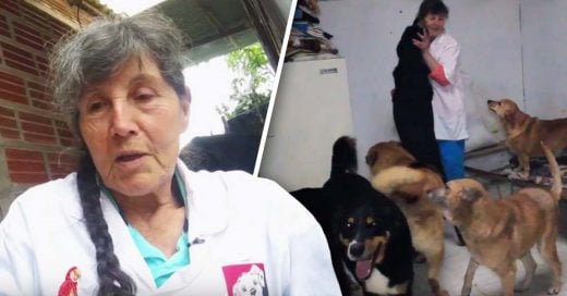 Cover Mujer renuncia a sus comodidades para cuidar de 400 animales