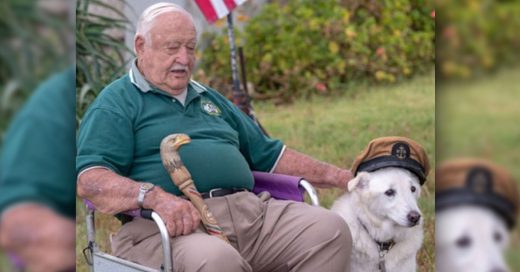 Cover Iban a dormir a este perro anciano hasta que un hombre de 93 años lo adoptó