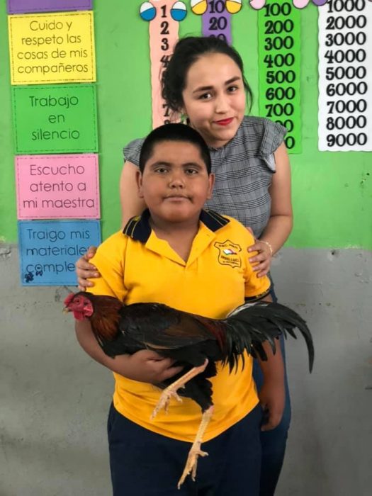 niño, profesora y gallo 