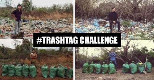 Cover Llega el "Trashtag Challenge" el reto que tiene a todos recolectando basura