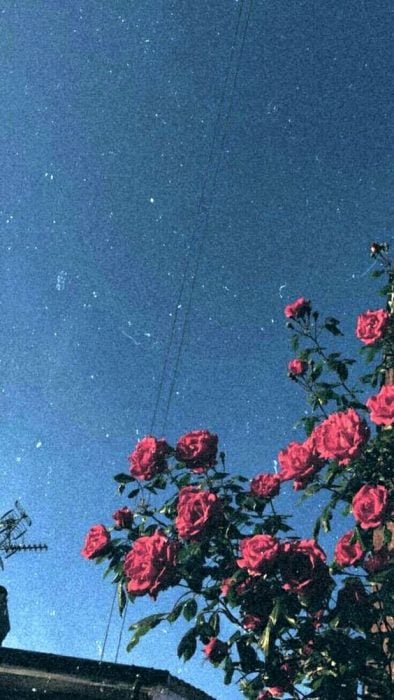 17 Fondos de pantalla para ser toda una chica Tumblr