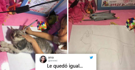 COVER Tweets de gatos que te harán maullar de risa