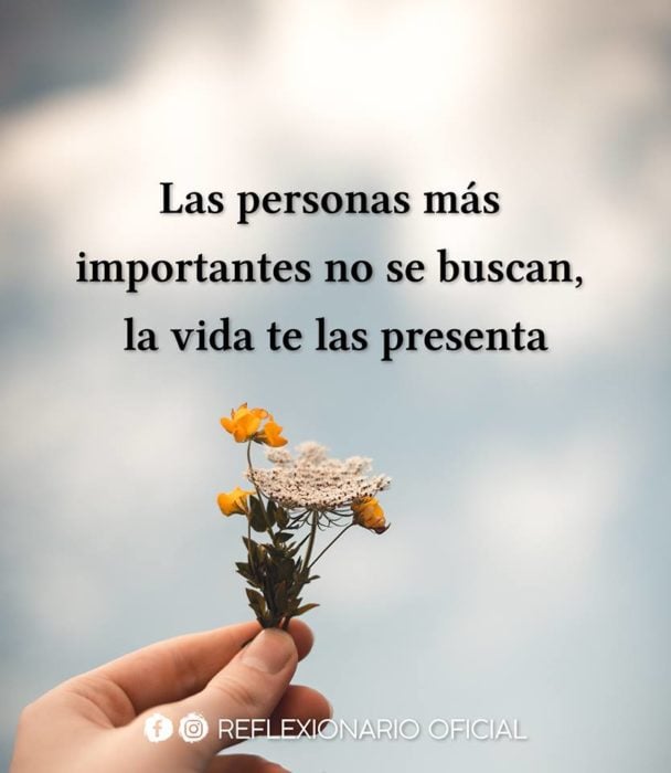 Frases de amistad recreoviral.com