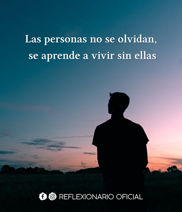 Frases de desamor recreoviral.com