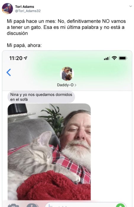 Papás que aman a los gatos