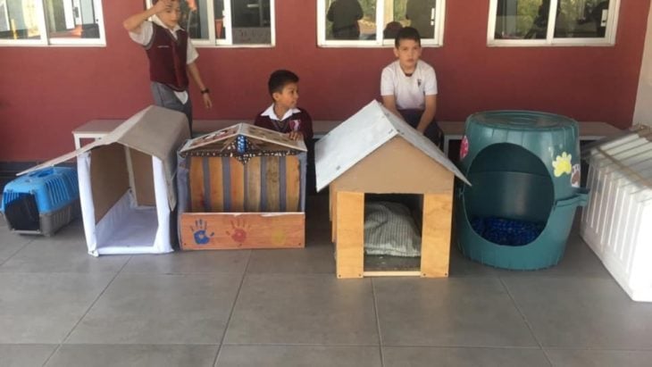 niños con casitas de madera 