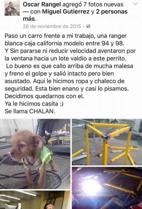 Adoptan a perrito en taller electrico recreoviral