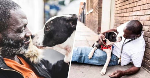 COVER Se mudaron a un apartamento muy pequeño y quitó su cama para hacerle un lugar a su perro