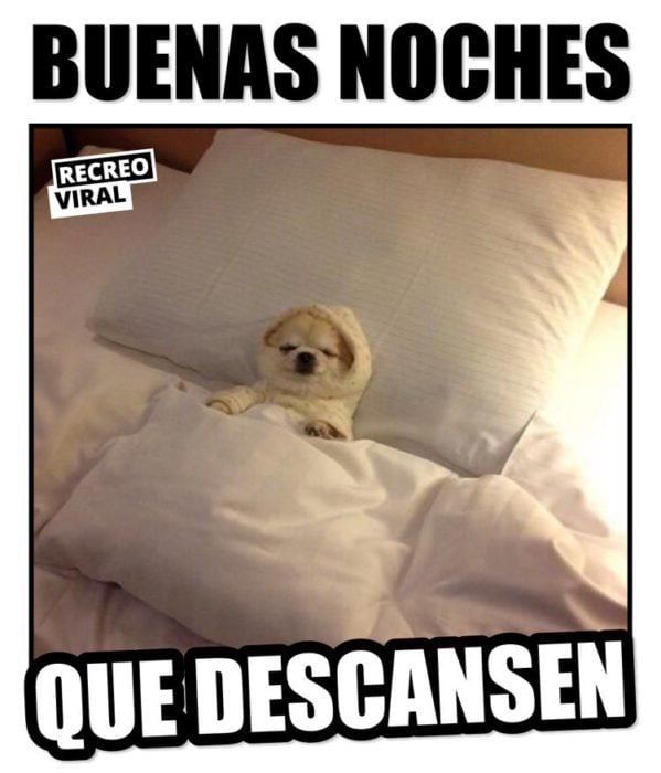 Memes de buenas noches recreoviral 