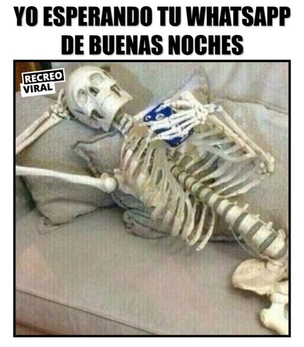 Memes de buenas noches recreoviral 