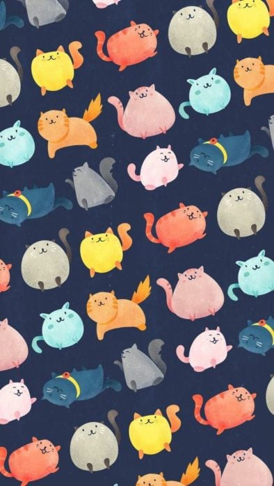 17 Fondos de pantallas con gatitos que te derretirán de amor