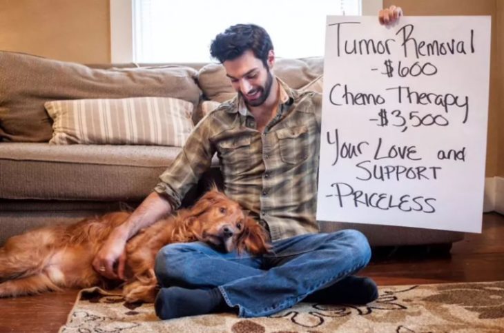 Perritos celebran que vencieron al cáncer