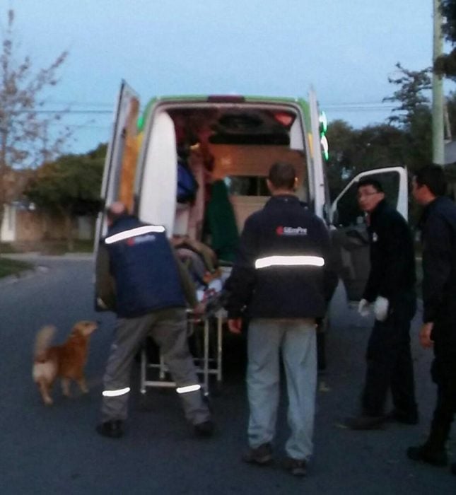 Perrito no abandona a su dueño accidentado