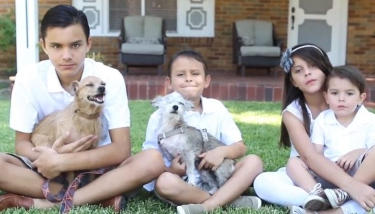 niños con dos perritos 