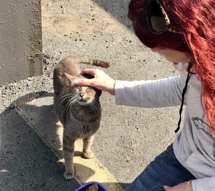 gatita de la calle 