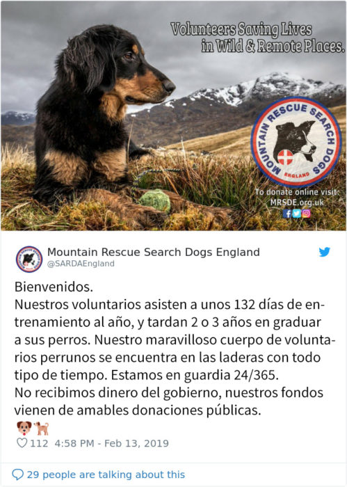 rescate en la montaña nevada perrito Recreo viral