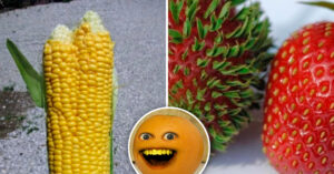 Cover Fotos de frutas que te pondrán los pelos de punta